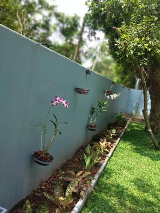 Sky Bloom Bed and Breakfast Homagama Exterior foto