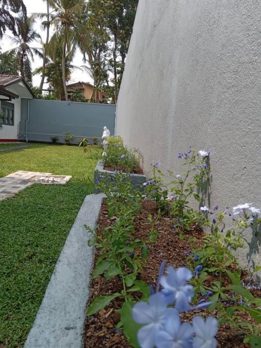 Sky Bloom Bed and Breakfast Homagama Exterior foto